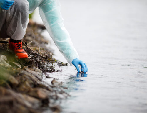 Michigan environmental groups want EPA to test for microplastics in drinking water