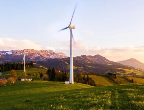 Algorand: Scaling Blockchain for Supply Chain Sustainability