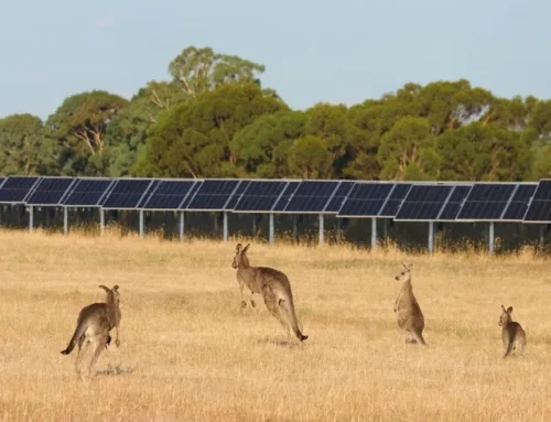 Apple to buy solar power from European Energy in Australia