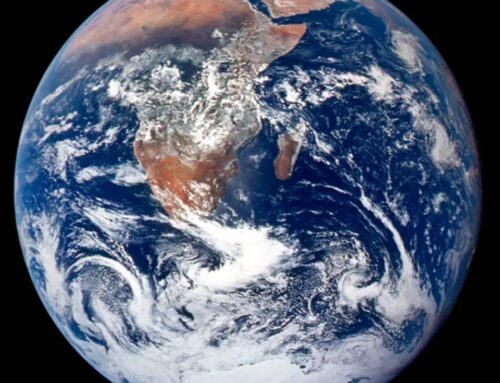 Ask Eartha: Is environmental progress moving backward?