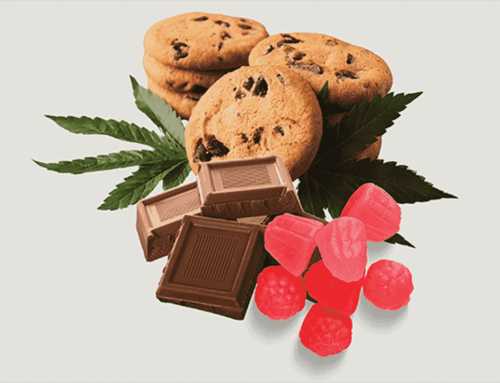 As legal cannabis proliferates, experts urge caution around shared hol…