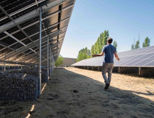 Green Capital grant to help Missoula’s push for clean electricity