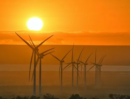 Australia opens GO scheme to certify renewables, hydrogen production