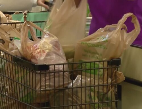 Virginia Beach environmental group pushes for plastic bag usage fee
