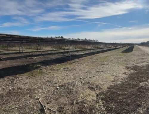 Solar farm in Sanford begins generating power