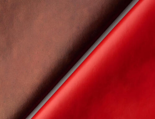 Qorium Secures €22m Investment to Accelerate Cultivated Leather Commercialisation