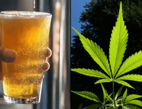 Drinking Cannabis Beverages Reduces Alcohol Use And Improves Sleep, Stress And Mood, New S