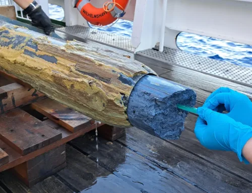 Life found in a place scientists thought impossible