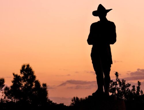 Union calls for New York to fully staff environmental conservation officers