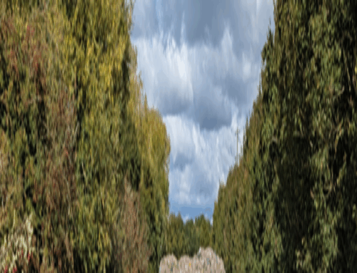 Kidlington waste tip mountain threatens disaster, MP says