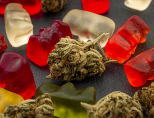 New York updates medical cannabis program