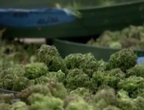 Nebraska Medical Cannabis Commission doesn’t budge on restrictive regulations