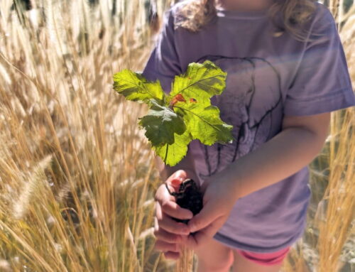 Investing in the next generation of environmental journalists (commentary)