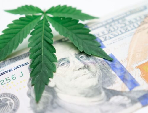 Applications for Cannabis Business Development Grant to be opened by NJEDA
