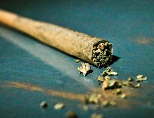 Weed and processed food combo may raise heart health risks