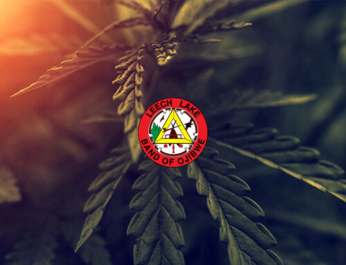 Leech Lake Cannabis Commission Extends Public Comment Period on Draft Cannabis Regulatory