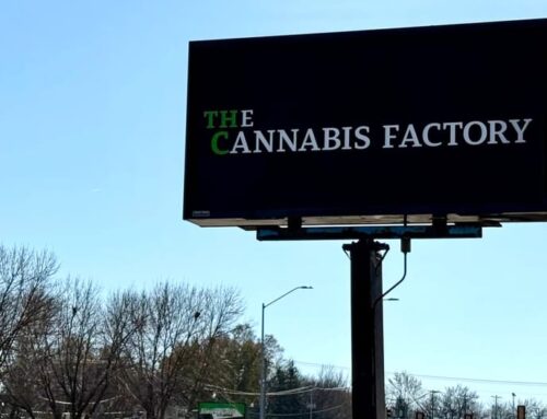 Cannabis defined: Everything to know about marijuana