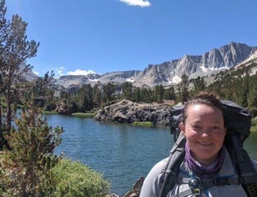 TERC Talk: What tiny lake organisms reveal about a changing environment