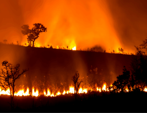 Five reasons why a Coalition deal on environment law would fail on climate