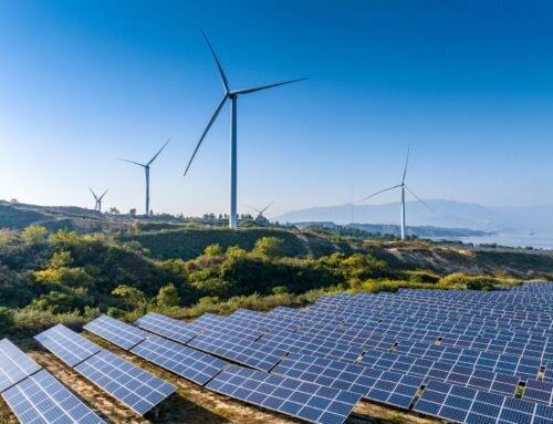 Holiday Meal With Green Skeptics? Make These Five Points