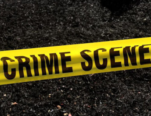 Illegal cannabis lab found near Santa Rosa had largest stockpile of hazardous chemicals co