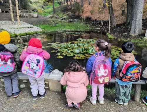 A Garden in Neuquén that Connects Childhood, Territory, and Nature: Caring for the Environ