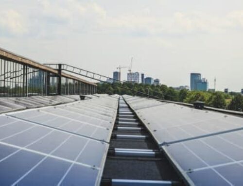 Renewables Are Too Cheap to Fail