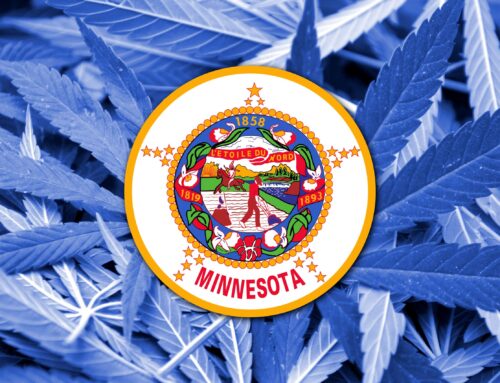 North Star Cannabis Consulting Launches Minnesota’s First Craft Cannabis Business Accelera