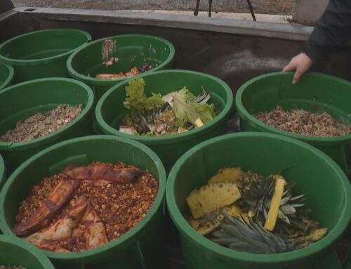 Dickinson College turns cafeteria scraps into renewable energy