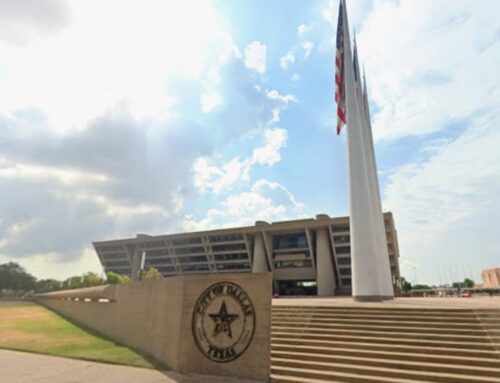 Dallas to Buzz with Community Events: Arts, Environment, and Childcare Support Highlight C