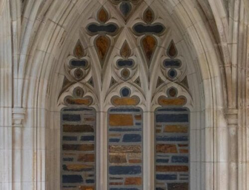 How Duke’s investment advisory committee handles petitions — and what makes one succeed