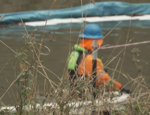 ‘Certainly an amount that’s highly concerning’ | Environmental, public health concerns as