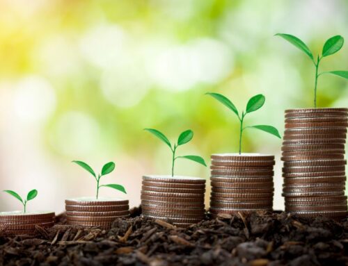 Sustainable investing isn’t dead: New survey shows demand accelerating