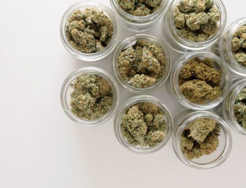 New Study Proposes Common Vocabulary for Describing Cannabis Aromas | Cannabis Science and