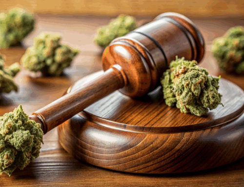 US (CA): Worker testifies about dehumanizing working conditions in cannabis CEO murder tri