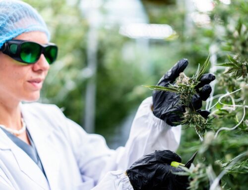 US (IL): Hands-on cannabis horticulture class coming to Spoon River College