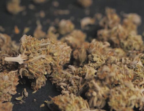 New York State’s medical cannabis program to expand