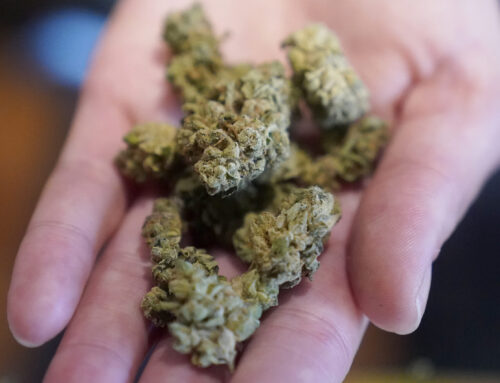 DC shuts down 2 businesses over claims of illegal cannabis sales