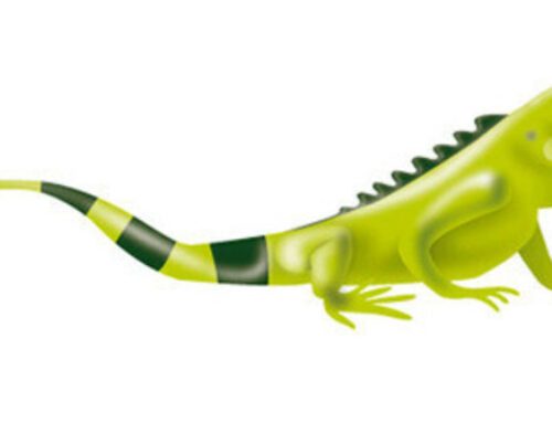 Ecopetrol S.A. Negotiates Acquisition of a Portfolio of up to 88.2 MWp in Solar Photovolta