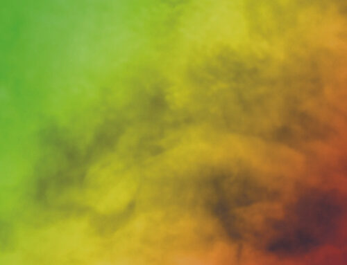 Collapse of cannabis industry