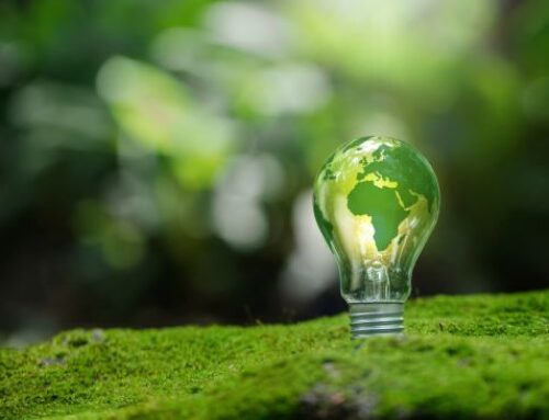 COP30: Brazil signs Amazon clean energy agreement with philanthropy group 