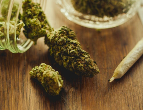 Cannabis Use Is Linked to Epigenetic Changes, Scientists Discovered