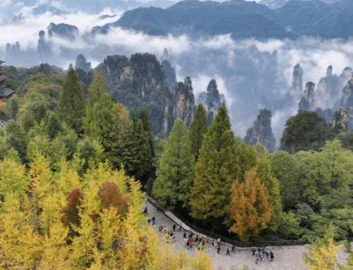 China unveils regulation on ecological environment monitoring