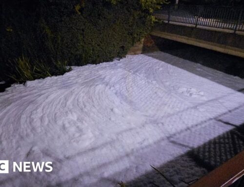 River Skerne foam had no environmental impact, says EA