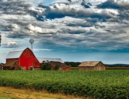 Connected Farms Chooses Amazon’s Project Kuiper to Power Ag Network