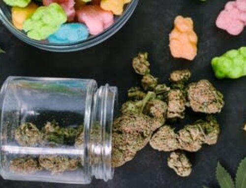 New CAA Study Sheds Light on Edible Cannabis and Collision Risk Among Young Drivers