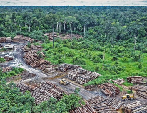 Environment and health: a connection that remains unseen in the Climate Change Conferences