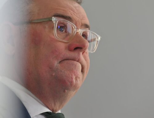 Long-awaited environment laws might get Australia sued. Here’s why