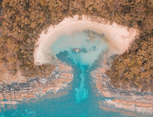 Long-sought environmental law reform is finally here. But will the compromise deal actuall