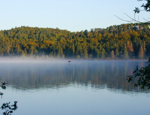 EGLE announces grants to improve water quality by reducing nonpoint source pollutants